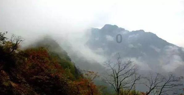 小脑萎缩的五个征兆